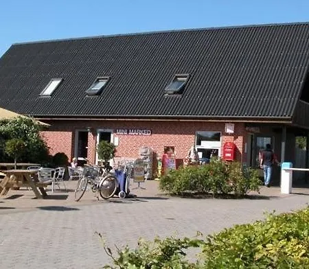 キャンプ場 Vikaer &