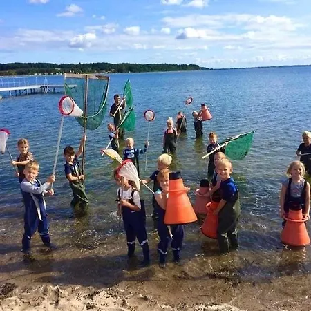 Vikaer & Camping 3*